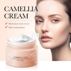 Unscented Scent OEM Skin Care Products Camellia Flower Anti Oxidant Moisturizing Repair Face Cream
