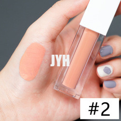 3g Long Lasting Lipstick Waterproof Matte Lipstick Red Pink
