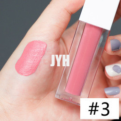 3g Long Lasting Lipstick Waterproof Matte Lipstick Red Pink
