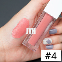 3g Long Lasting Lipstick Waterproof Matte Lipstick Red Pink