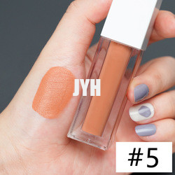3g Long Lasting Lipstick Waterproof Matte Lipstick Red Pink
