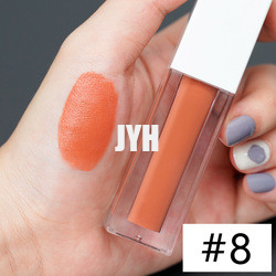 3g Long Lasting Lipstick Waterproof Matte Lipstick Red Pink