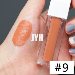 3g Long Lasting Lipstick Waterproof Matte Lipstick Red Pink