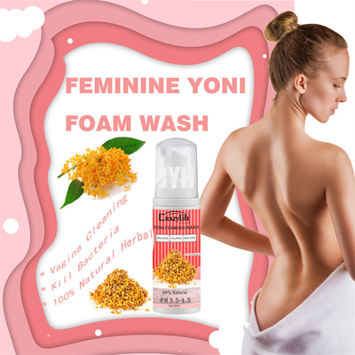 Natural Balance PH Foaming Feminine Wash For Itching Intimate Areas