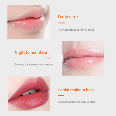 Oem Private Label Nourishing Lip Balm Natural Vegan Soft Moisturizing Glossy Treatment