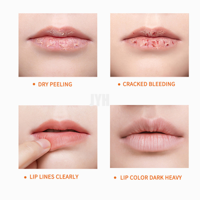 Oem Private Label Nourishing Lip Balm Natural Vegan Soft Moisturizing Glossy Treatment